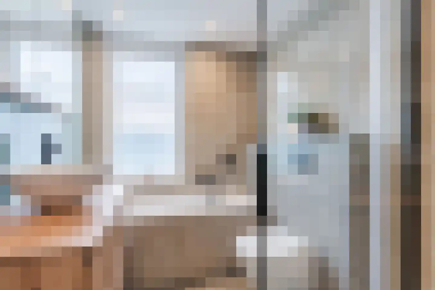 Schutsboom 19 Geldrop thumbnail 25