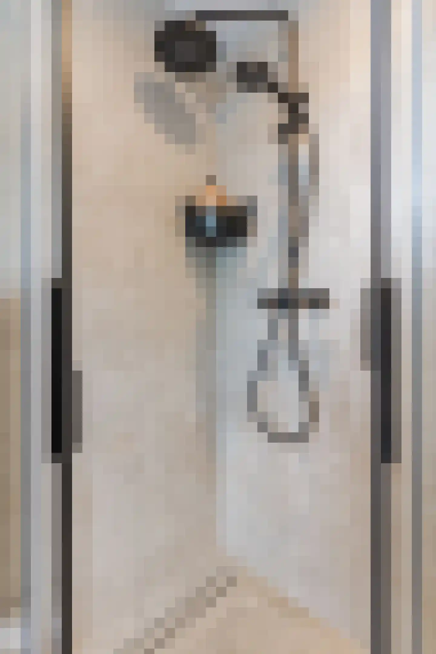 Schutsboom 19 Geldrop thumbnail 27
