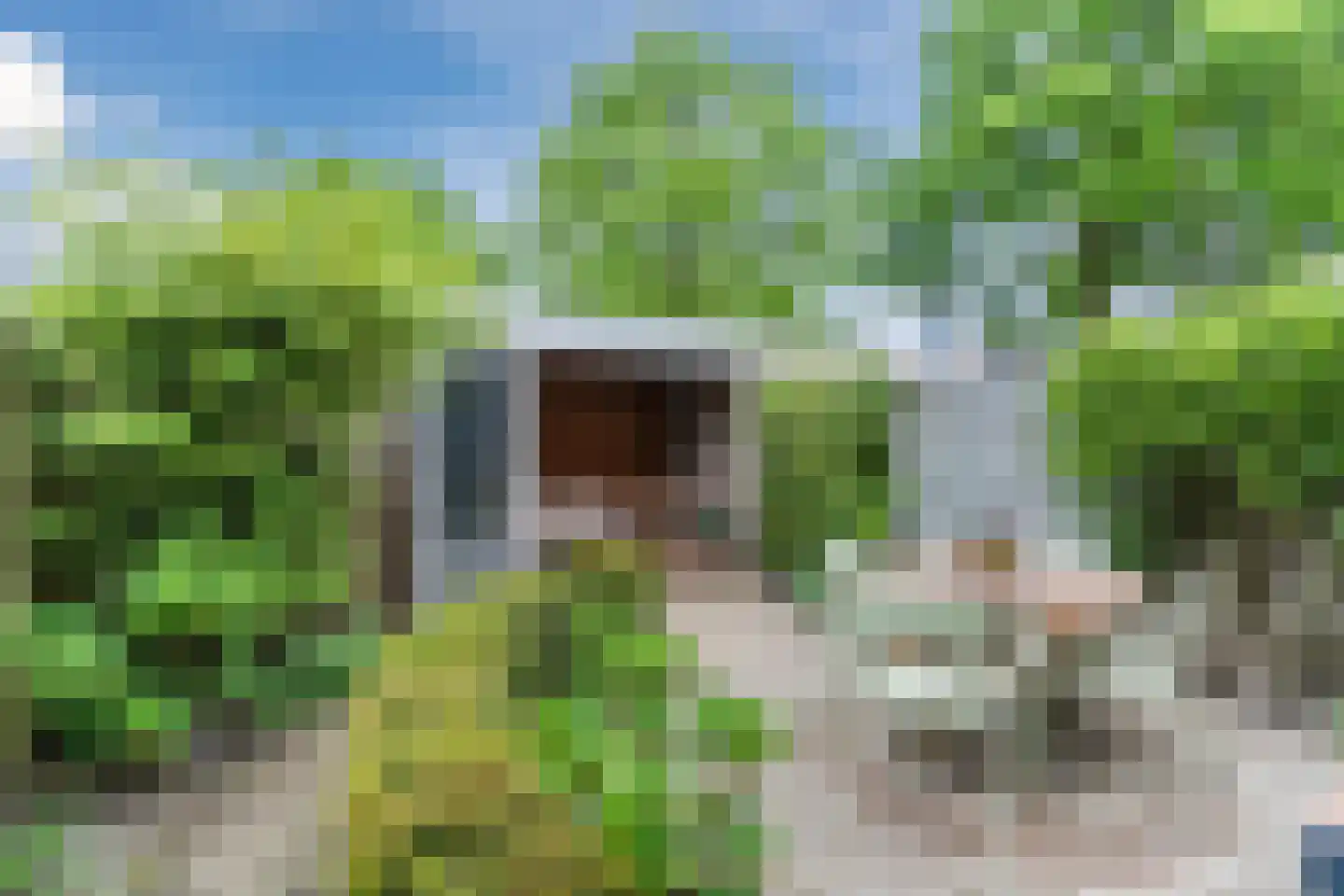 Schutsboom 19 Geldrop thumbnail 35