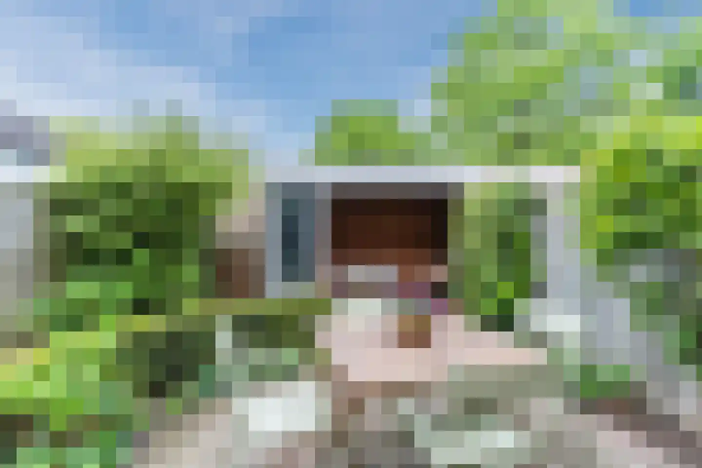 Schutsboom 19 Geldrop thumbnail 36