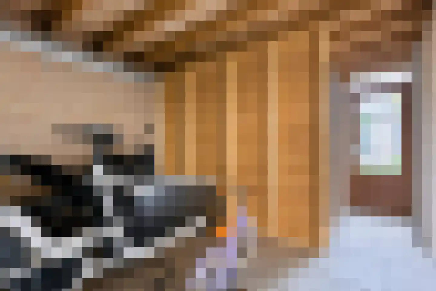 Schutsboom 19 Geldrop thumbnail 38