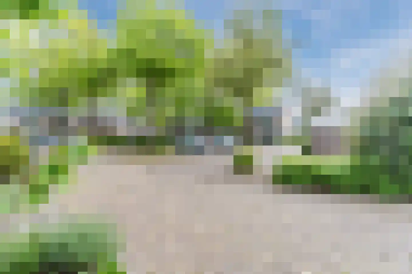 Schutsboom 19 Geldrop thumbnail 43