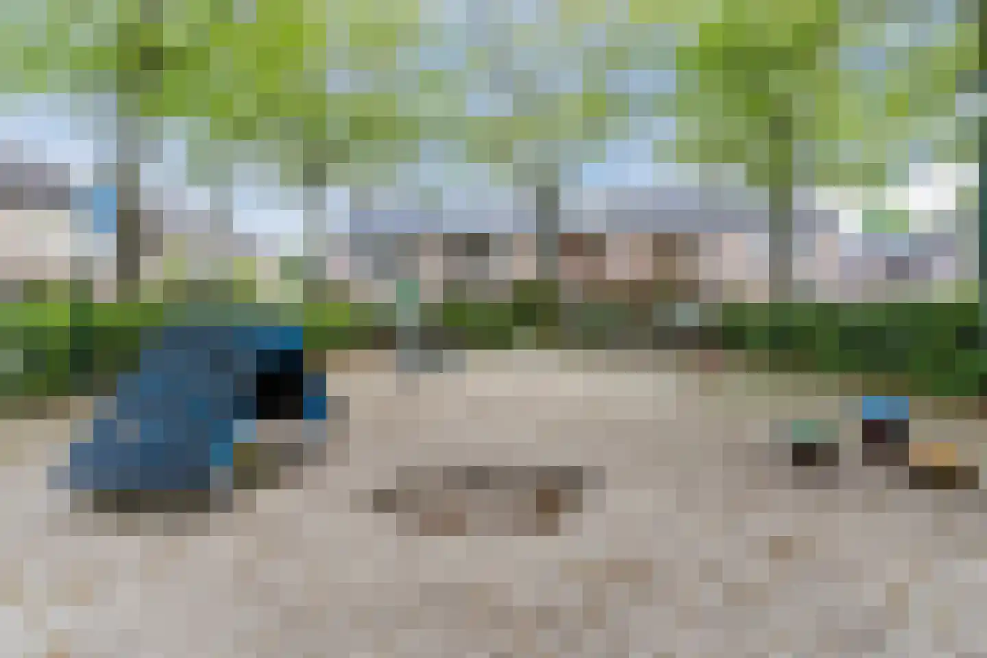 Schutsboom 19 Geldrop thumbnail 44