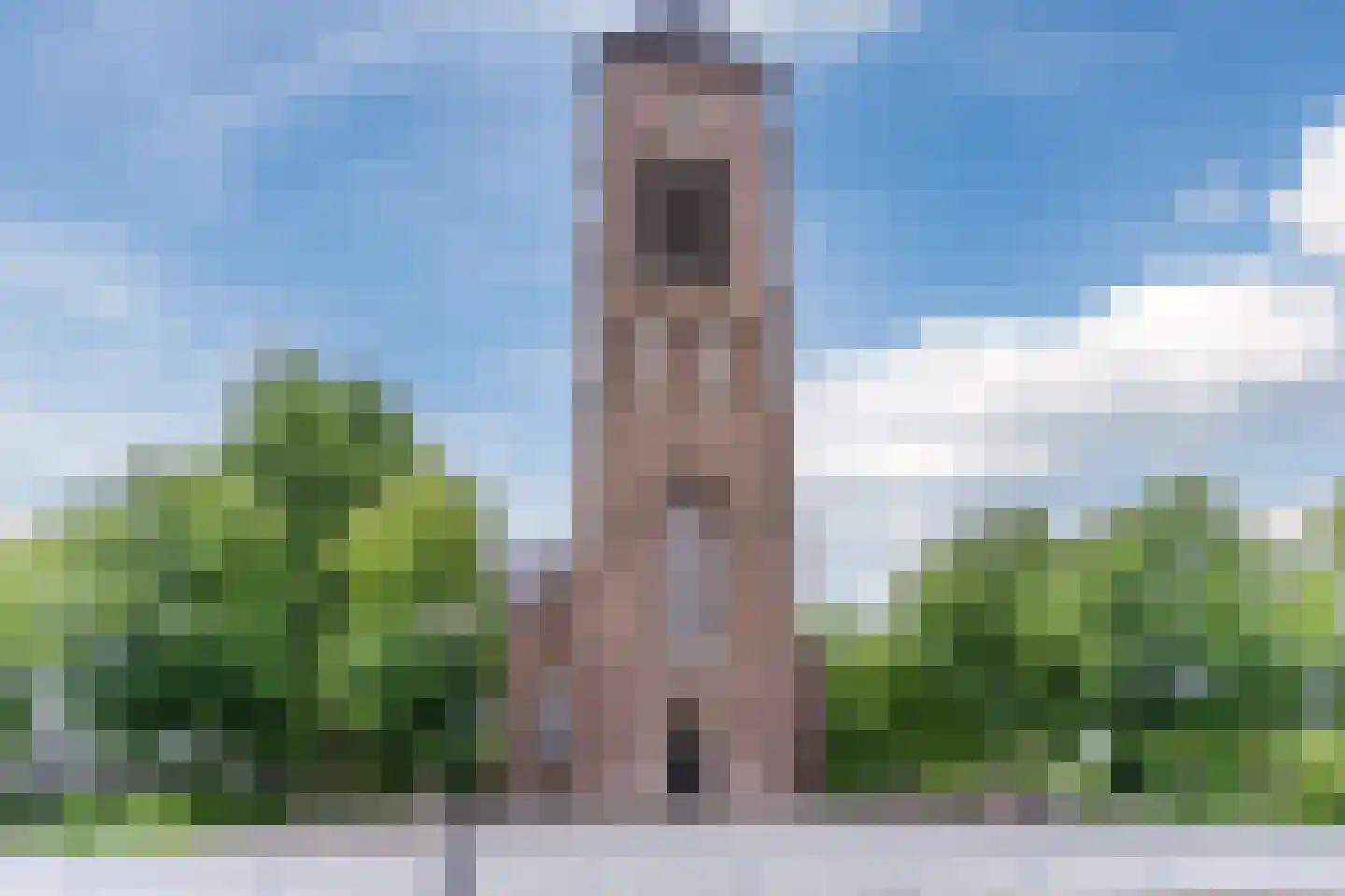 Schutsboom 19 Geldrop thumbnail 46