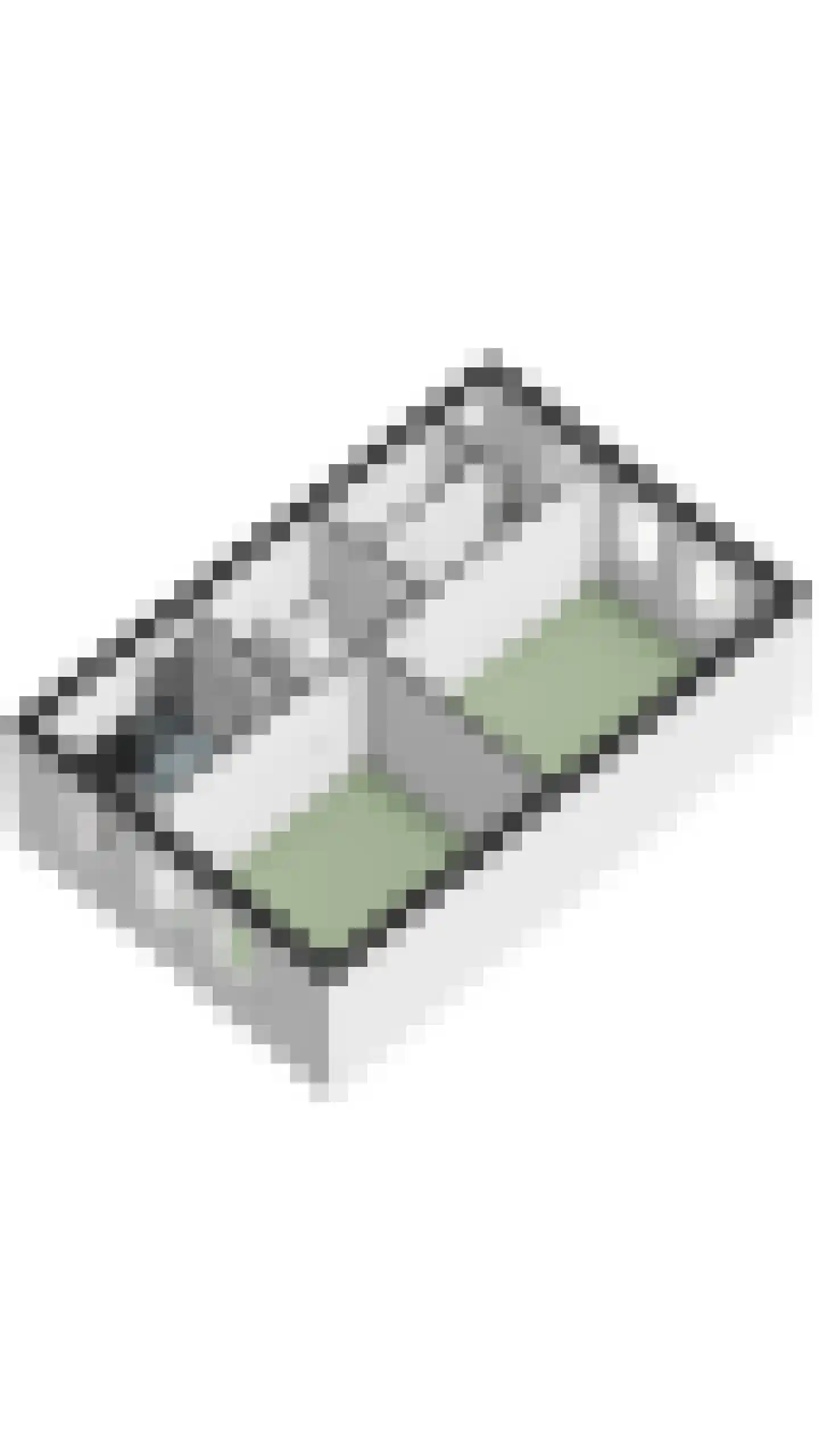 Schutsboom 19 Geldrop thumbnail 52