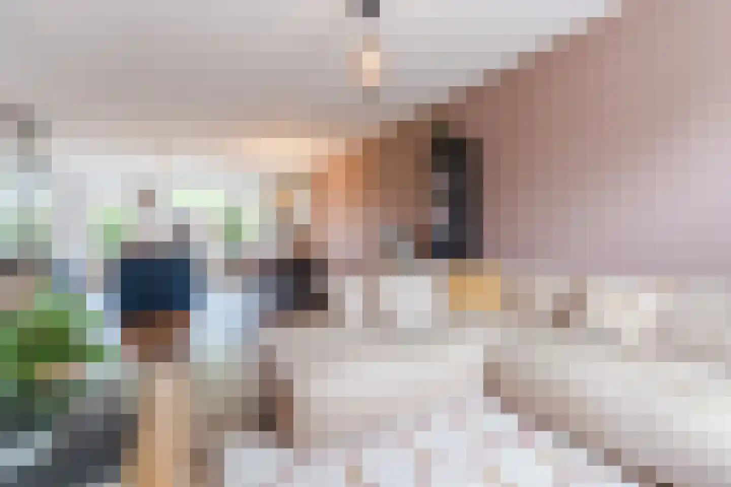 Schutsboom 19 Geldrop thumbnail 8