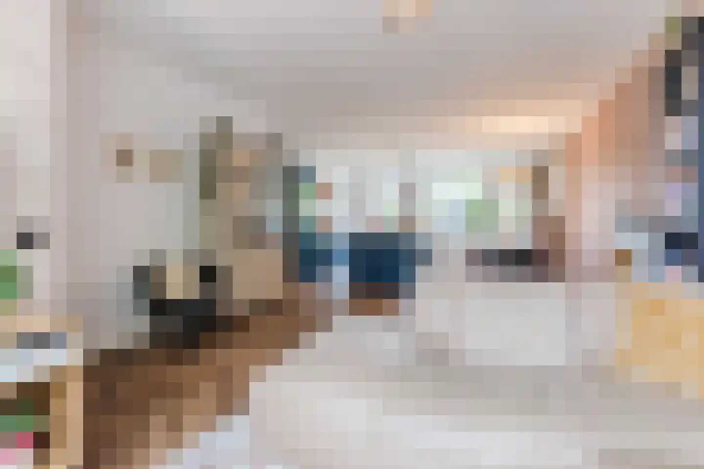 Schutsboom 19 Geldrop thumbnail 9