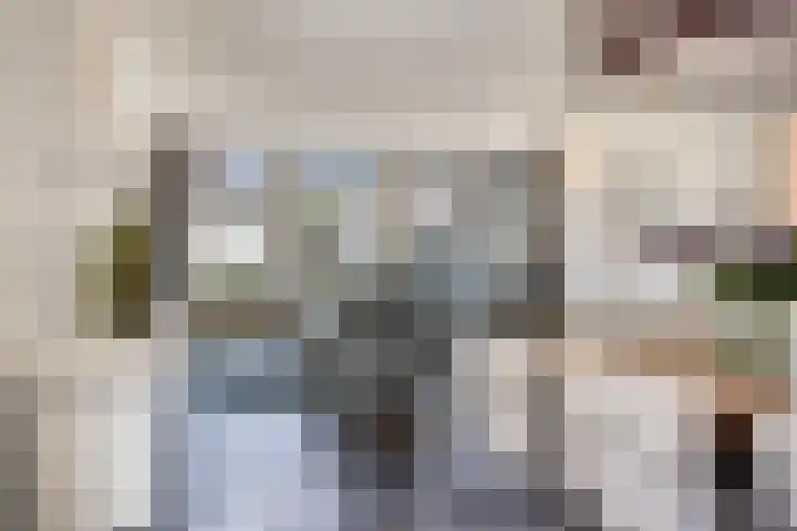 Schutsboom 20 Bergeijk thumbnail 10
