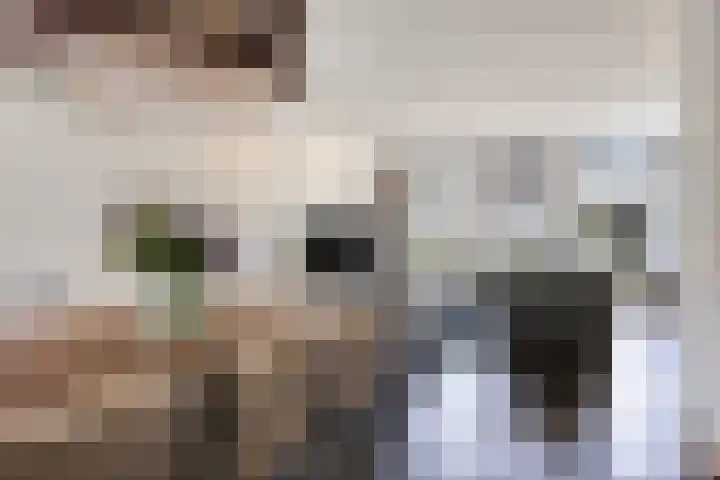 Schutsboom 20 Bergeijk thumbnail 11