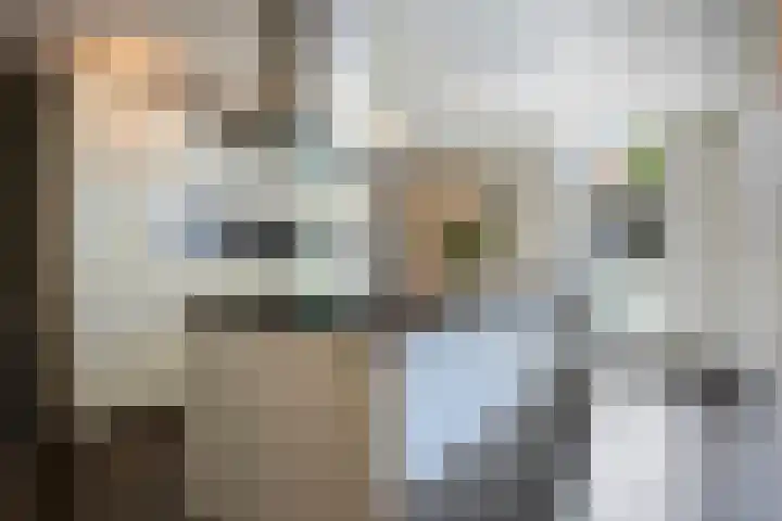 Schutsboom 20 Bergeijk thumbnail 12