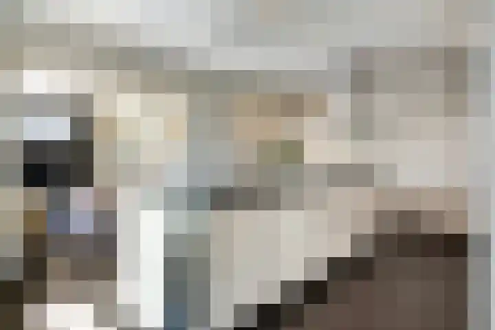 Schutsboom 20 Bergeijk thumbnail 13