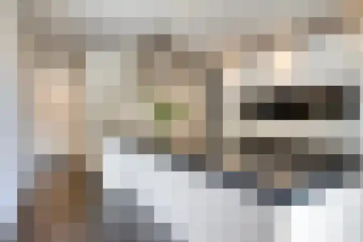 Schutsboom 20 Bergeijk thumbnail 14