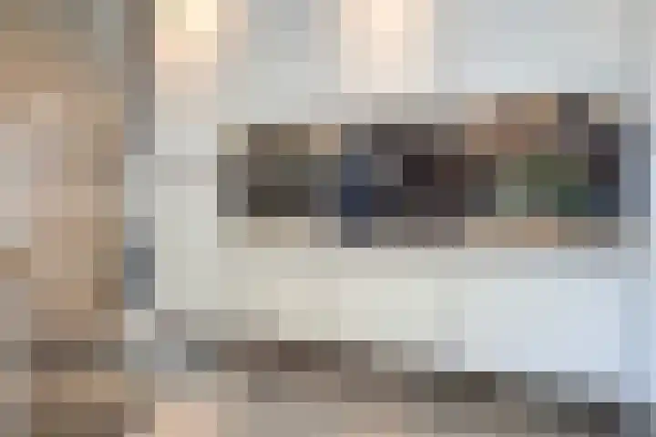 Schutsboom 20 Bergeijk thumbnail 15