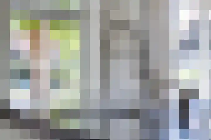 Schutsboom 20 Bergeijk thumbnail 16