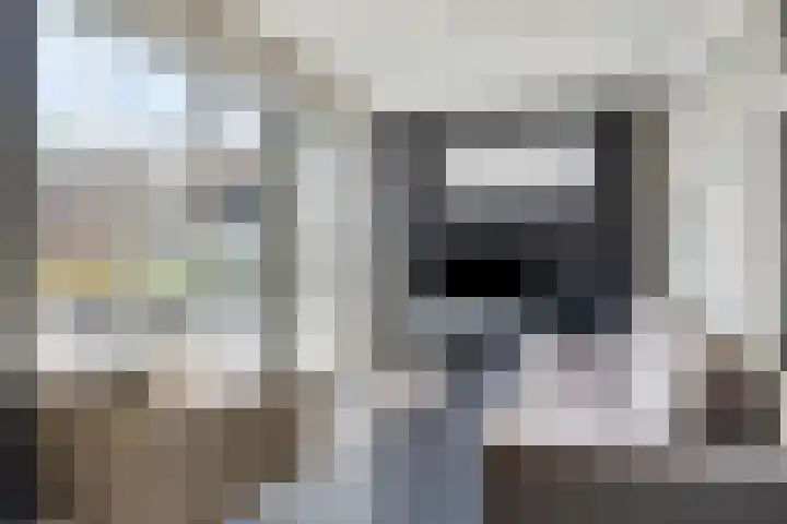 Schutsboom 20 Bergeijk thumbnail 17
