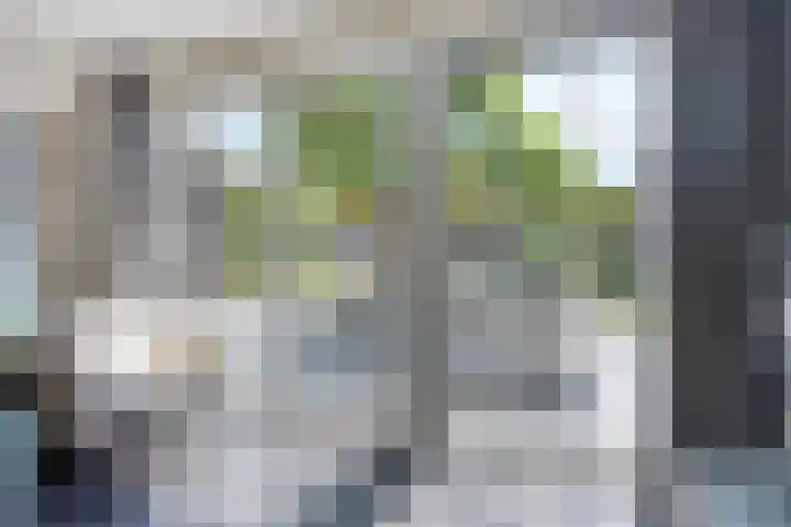 Schutsboom 20 Bergeijk thumbnail 18