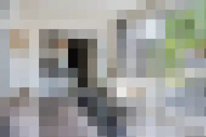 Schutsboom 20 Bergeijk thumbnail 19
