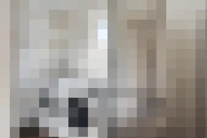 Schutsboom 20 Bergeijk thumbnail 20