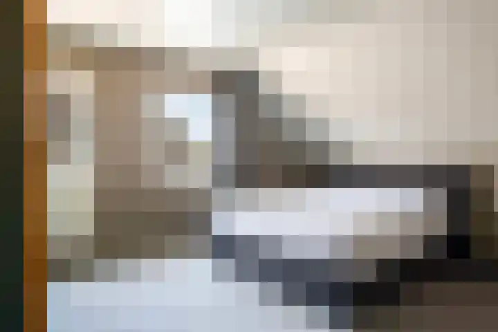 Schutsboom 20 Bergeijk thumbnail 21