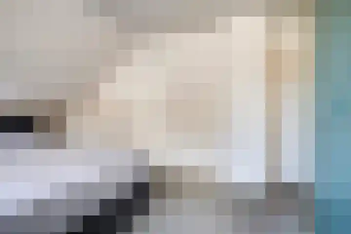 Schutsboom 20 Bergeijk thumbnail 22