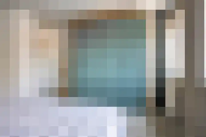 Schutsboom 20 Bergeijk thumbnail 23