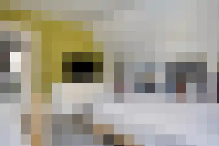 Schutsboom 20 Bergeijk thumbnail 25
