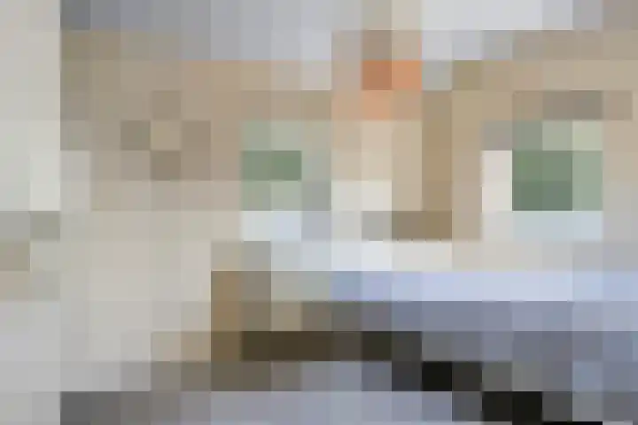 Schutsboom 20 Bergeijk thumbnail 26