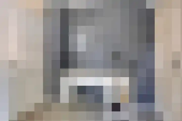 Schutsboom 20 Bergeijk thumbnail 27