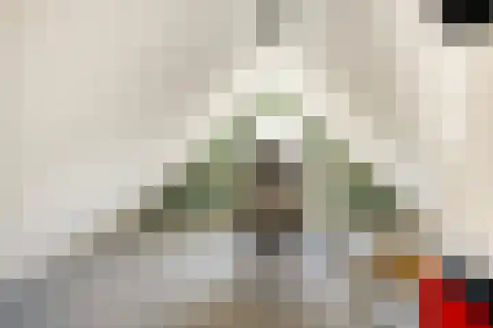 Schutsboom 20 Bergeijk thumbnail 28