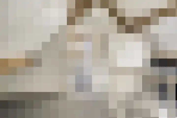 Schutsboom 20 Bergeijk thumbnail 34