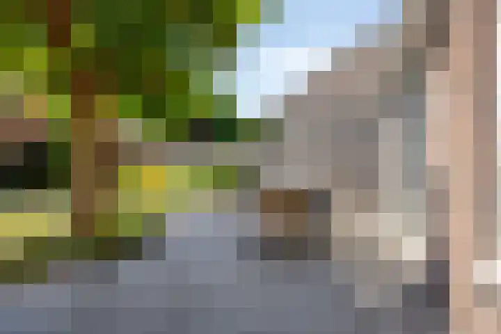 Schutsboom 20 Bergeijk thumbnail 37