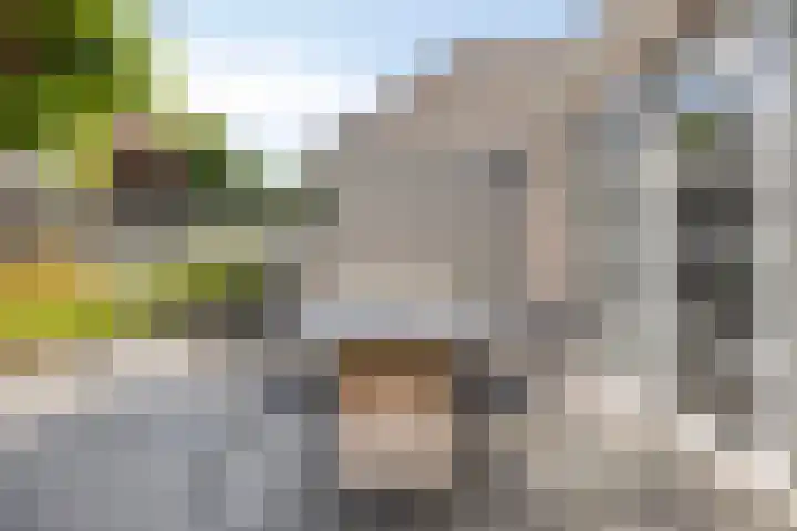 Schutsboom 20 Bergeijk thumbnail 40