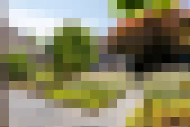 Schutsboom 20 Bergeijk thumbnail 41
