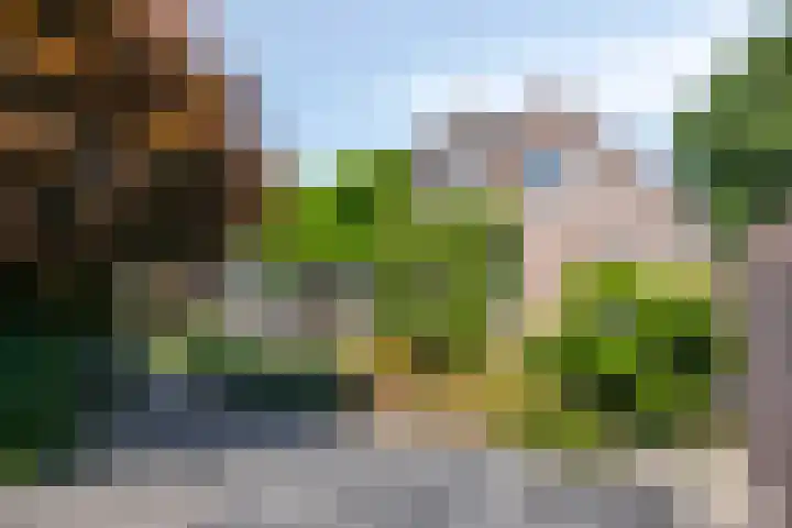 Schutsboom 20 Bergeijk thumbnail 43