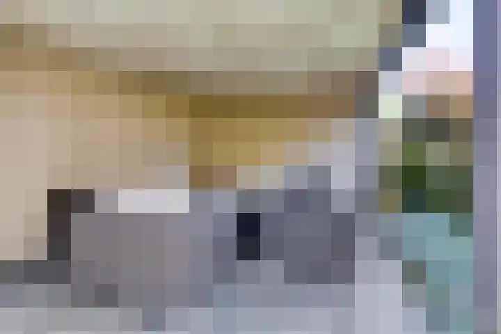 Schutsboom 20 Bergeijk thumbnail 44