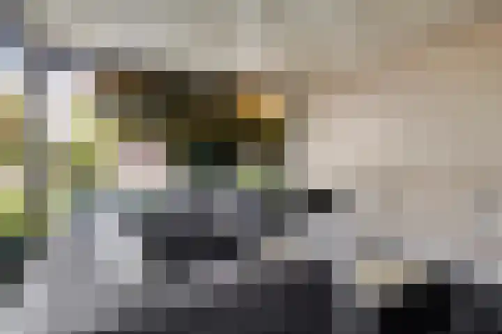 Schutsboom 20 Bergeijk thumbnail 45