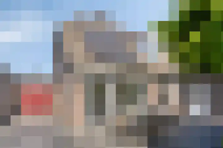 Schutsboom 20 Bergeijk thumbnail 47