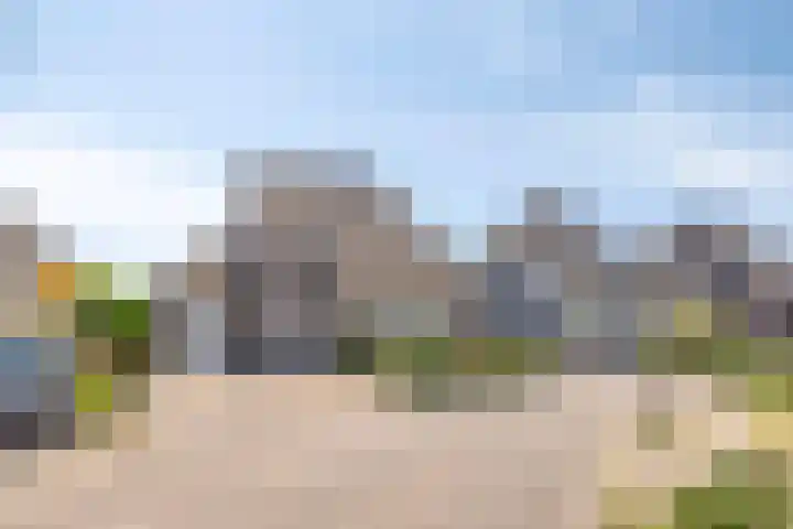 Schutsboom 20 Bergeijk thumbnail 49
