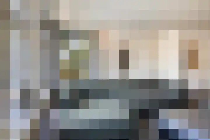 Schutsboom 20 Bergeijk thumbnail 5