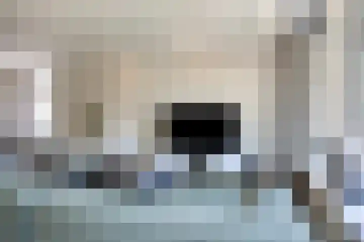 Schutsboom 20 Bergeijk thumbnail 6