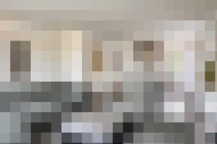 Schutsboom 20 Bergeijk thumbnail 7