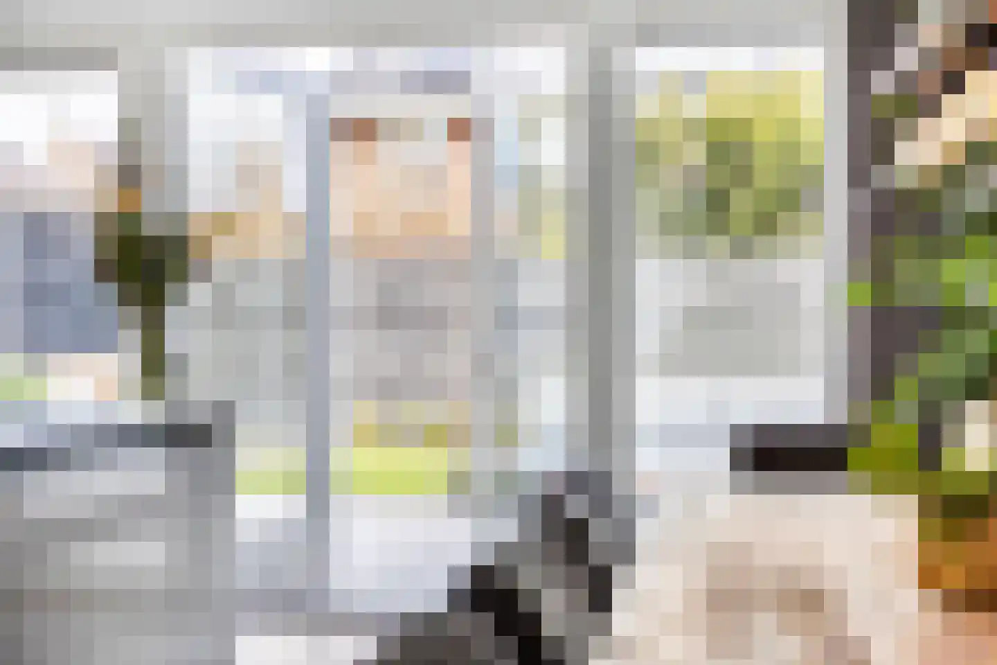 Schutsboom 20 Escharen thumbnail 11