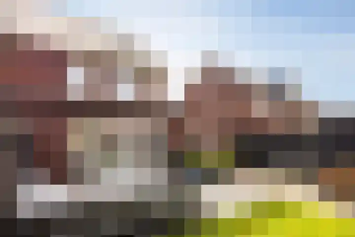 Schutsboom 20 Escharen thumbnail 12