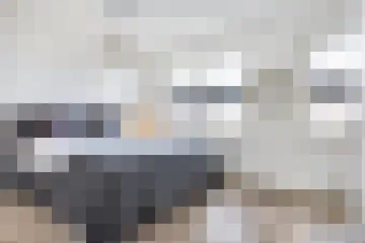 Schutsboom 20 Escharen thumbnail 17