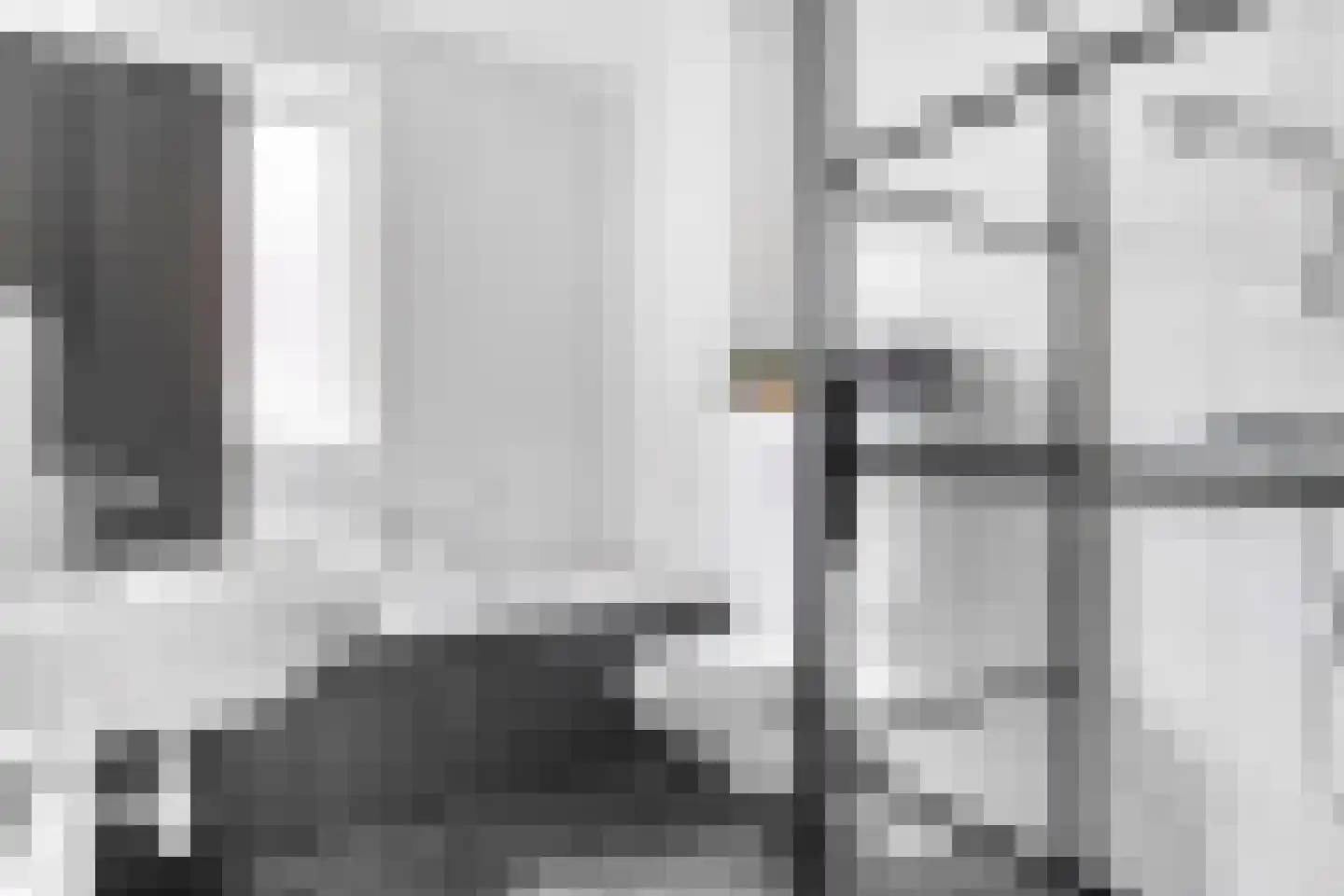 Schutsboom 20 Escharen thumbnail 21