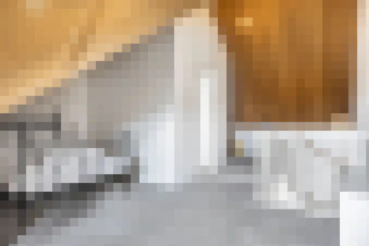 Schutsboom 20 Escharen thumbnail 24