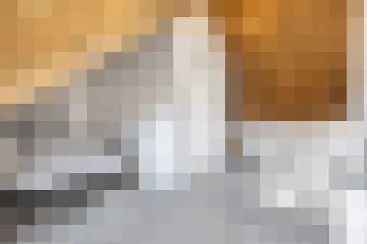 Schutsboom 20 Escharen thumbnail 24