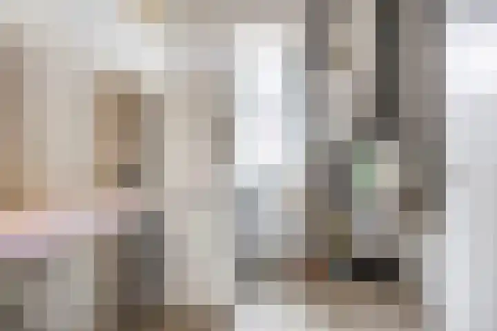 Schutsboom 20 Escharen thumbnail 25