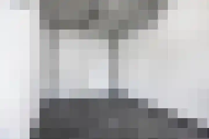 Schutsboom 20 Escharen thumbnail 26