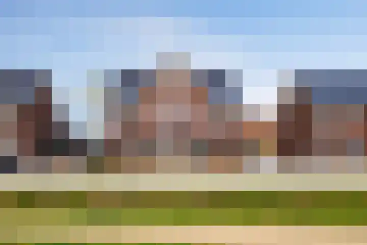 Schutsboom 20 Escharen thumbnail 27